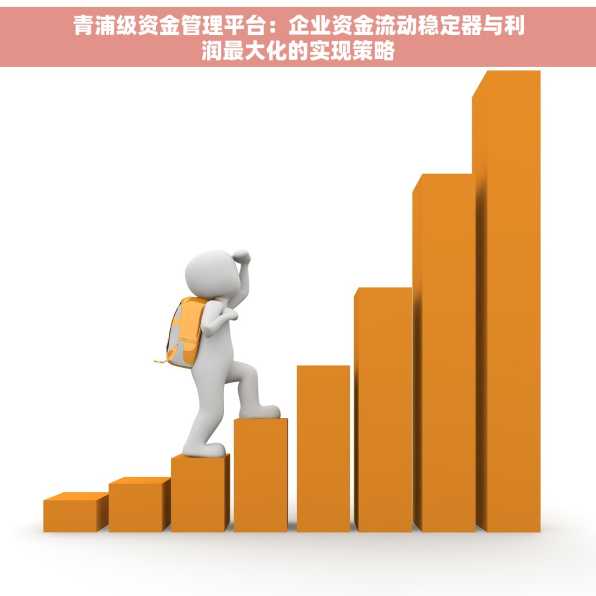 青浦级资金管理平台：企业资金流动稳定器与利润最大化的实现策略