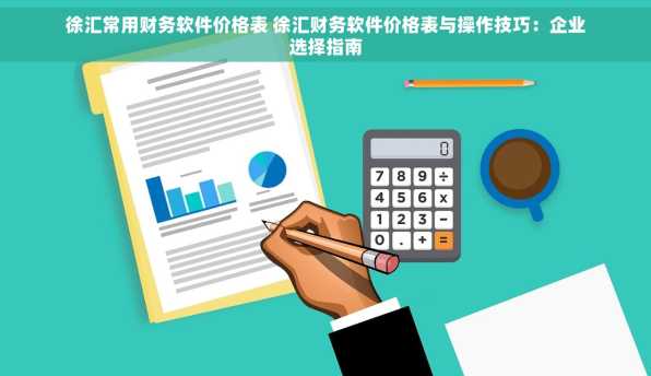 徐汇常用财务软件价格表 徐汇财务软件价格表与操作技巧：企业选择指南