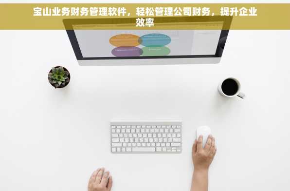 宝山业务财务管理软件，轻松管理公司财务，提升企业效率