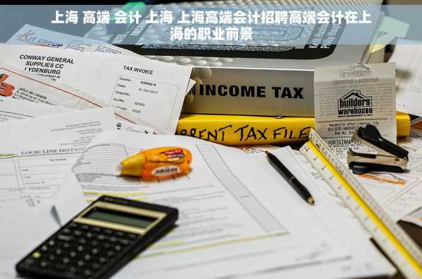 上海 高端 会计 上海 上海高端会计招聘高端会计在上海的职业前景