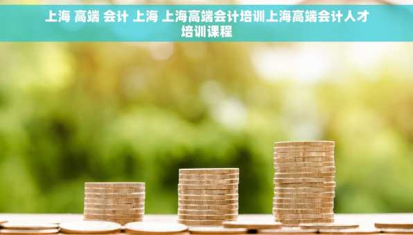 上海 高端 会计 上海 上海高端会计培训上海高端会计人才培训课程