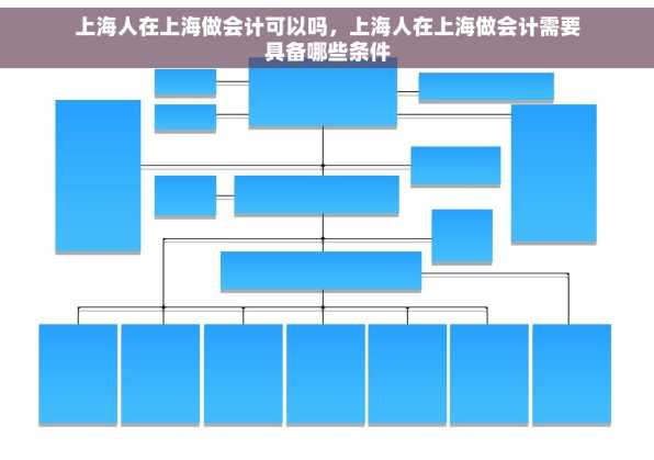 上海人在上海做会计可以吗，上海人在上海做会计需要具备哪些条件