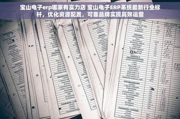 宝山电子erp哪家有实力店 宝山电子ERP系统最新行业标杆，优化资源配置，可靠品牌实现高效运营
