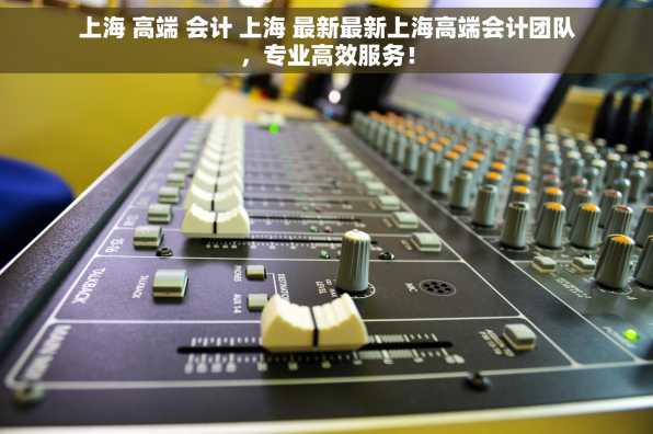 上海 高端 会计 上海 最新最新上海高端会计团队，专业高效服务！
