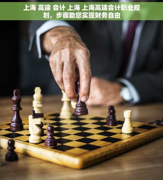 上海 高端 会计 上海 上海高端会计职业规划，步骤助您实现财务自由