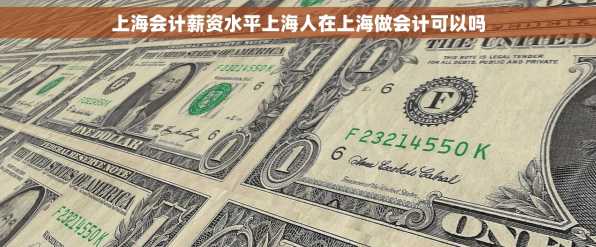 上海会计薪资水平上海人在上海做会计可以吗
