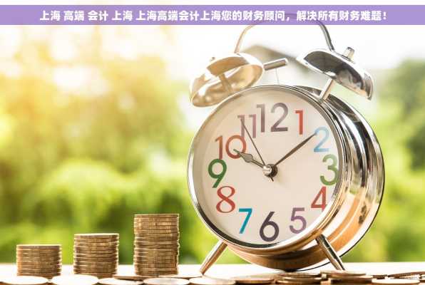 上海 高端 会计 上海 上海高端会计上海您的财务顾问，解决所有财务难题！