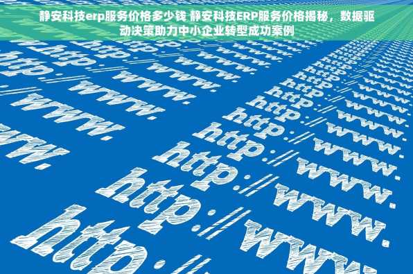 静安科技erp服务价格多少钱 静安科技ERP服务价格揭秘，数据驱动决策助力中小企业转型成功案例