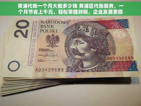 黄浦代账一个月大概多少钱 黄浦区代账服务，一个月节省上千元，轻松掌握财税，企业发展更稳健