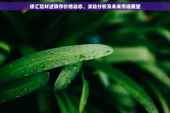 徐汇铝材进销存价格动态、波动分析及未来市场展望