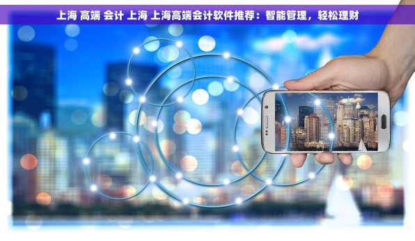 上海 高端 会计 上海 上海高端会计软件推荐：智能管理，轻松理财