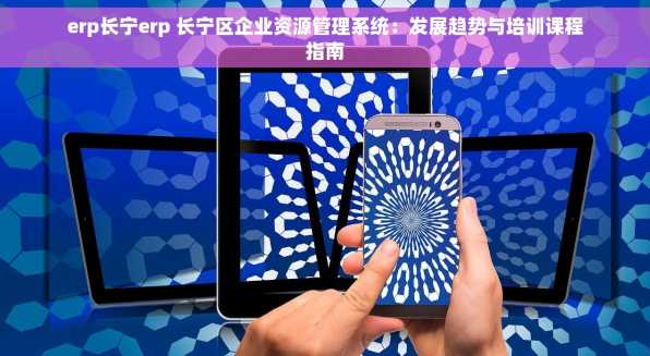 erp长宁erp 长宁区企业资源管理系统：发展趋势与培训课程指南