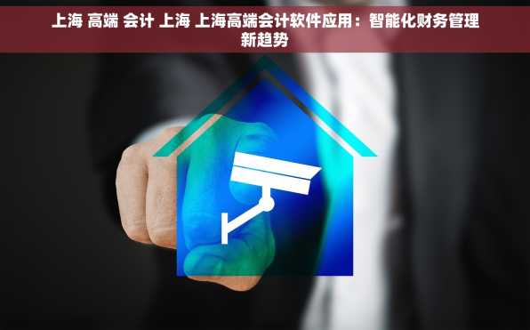 上海 高端 会计 上海 上海高端会计软件应用：智能化财务管理新趋势