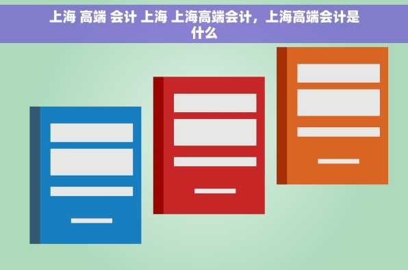 上海 高端 会计 上海 上海高端会计，上海高端会计是什么
