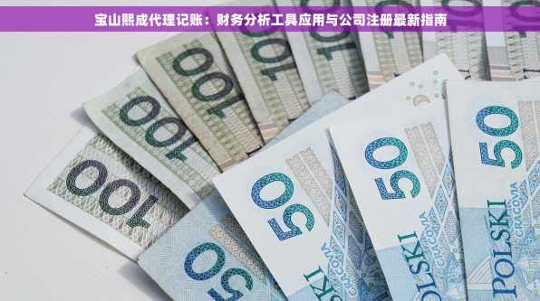 宝山熙成代理记账：财务分析工具应用与公司注册最新指南