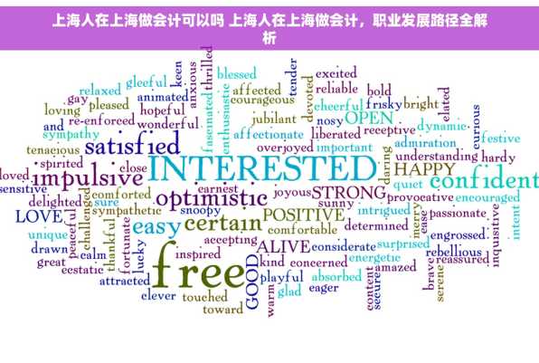 上海人在上海做会计可以吗 上海人在上海做会计，职业发展路径全解析