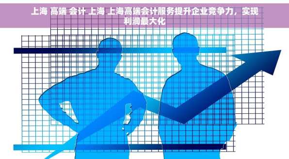 上海 高端 会计 上海 上海高端会计服务提升企业竞争力，实现利润最大化