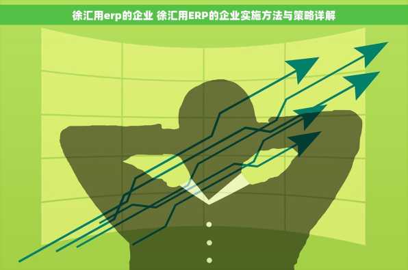 徐汇用erp的企业 徐汇用ERP的企业实施方法与策略详解