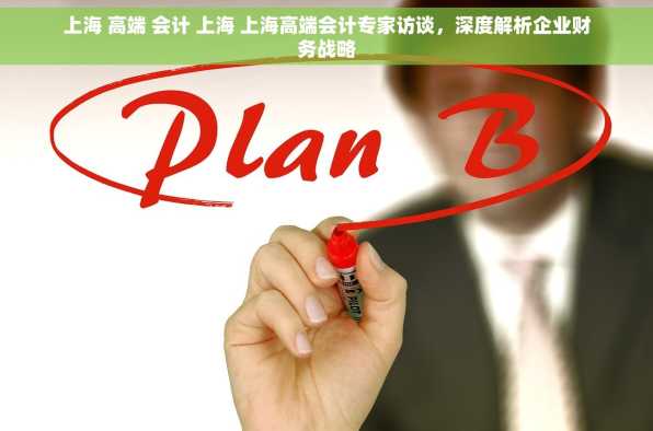 上海 高端 会计 上海 上海高端会计专家访谈，深度解析企业财务战略