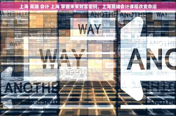 上海 高端 会计 上海 掌握未来财富密码，上海高端会计课程改变命运