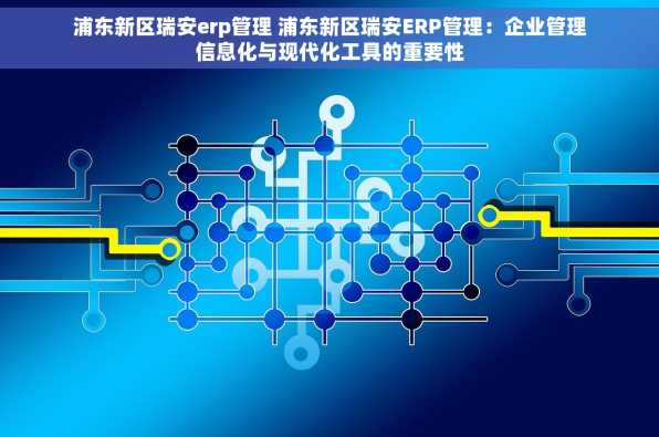 浦东新区瑞安erp管理 浦东新区瑞安ERP管理：企业管理信息化与现代化工具的重要性