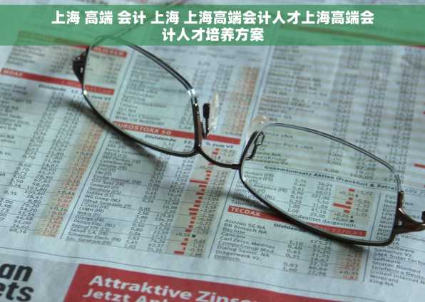上海 高端 会计 上海 上海高端会计人才上海高端会计人才培养方案