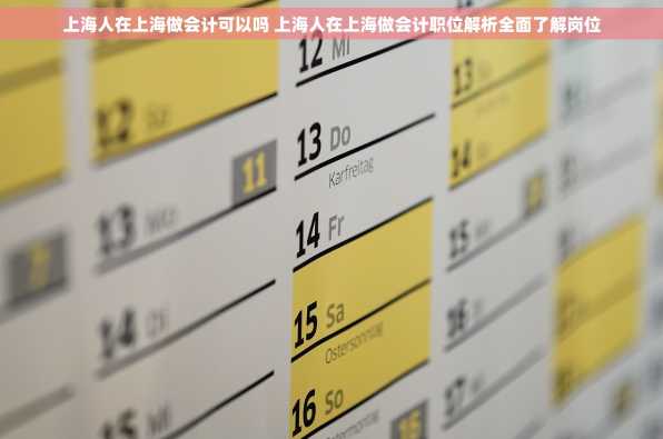 上海人在上海做会计可以吗 上海人在上海做会计职位解析全面了解岗位