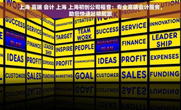 上海 高端 会计 上海 上海初创公司福音：专业高端会计服务，助您快速站稳脚跟