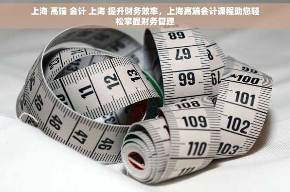 上海 高端 会计 上海 提升财务效率，上海高端会计课程助您轻松掌握财务管理
