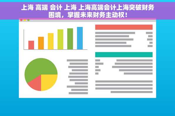 上海 高端 会计 上海 上海高端会计上海突破财务困境，掌握未来财务主动权！