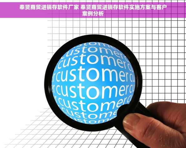 奉贤商贸进销存软件厂家 奉贤商贸进销存软件实施方案与客户案例分析