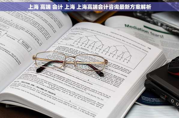 上海 高端 会计 上海 上海高端会计咨询最新方案解析