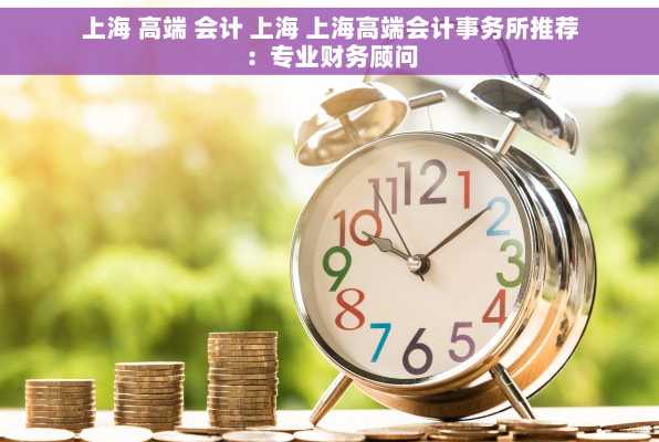 上海 高端 会计 上海 上海高端会计事务所推荐：专业财务顾问