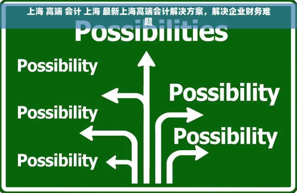 上海 高端 会计 上海 最新上海高端会计解决方案，解决企业财务难题
