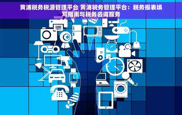黄浦税务税源管理平台 黄浦税务管理平台：税务报表填写指南与税务咨询服务