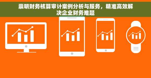 崇明财务核算审计案例分析与服务，精准高效解决企业财务难题