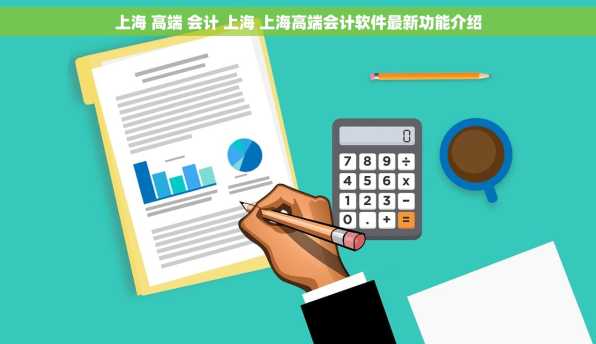 上海 高端 会计 上海 上海高端会计软件最新功能介绍