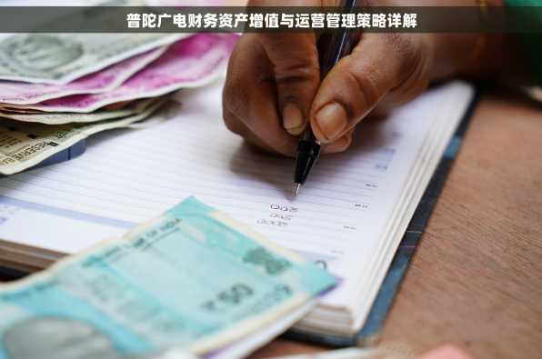 普陀广电财务资产增值与运营管理策略详解