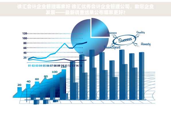 徐汇会计企业管理哪家好 徐汇优秀会计企业管理公司，助您企业发展——最新调查结果公布哪家更好?