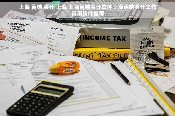 上海 高端 会计 上海 上海高端会计软件上海高端会计工作常用软件推荐