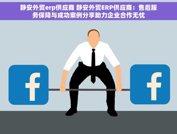 静安外贸erp供应商 静安外贸ERP供应商：售后服务保障与成功案例分享助力企业合作无忧