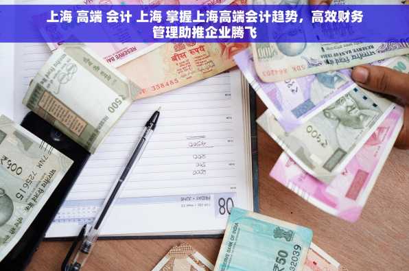 上海 高端 会计 上海 掌握上海高端会计趋势，高效财务管理助推企业腾飞