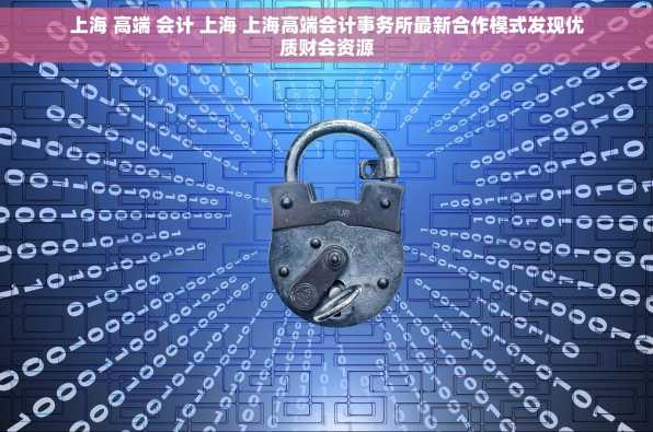 上海 高端 会计 上海 上海高端会计事务所最新合作模式发现优质财会资源