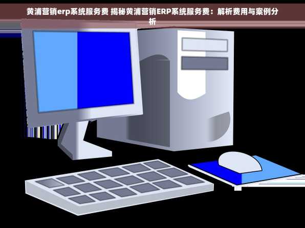 黄浦营销erp系统服务费 揭秘黄浦营销ERP系统服务费：解析费用与案例分析