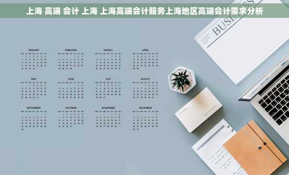 上海 高端 会计 上海 上海高端会计服务上海地区高端会计需求分析