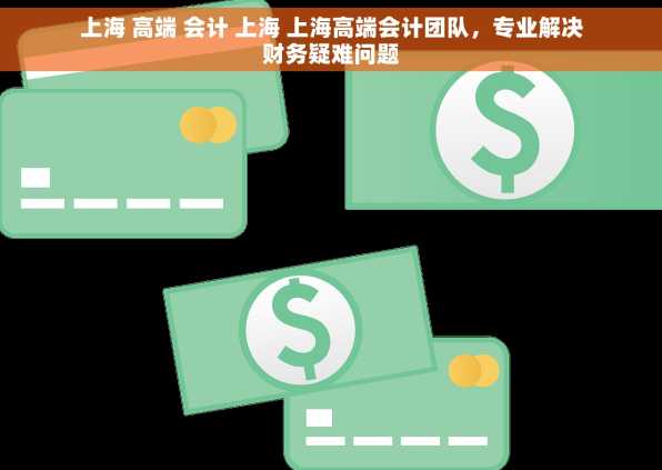 上海 高端 会计 上海 上海高端会计团队，专业解决财务疑难问题