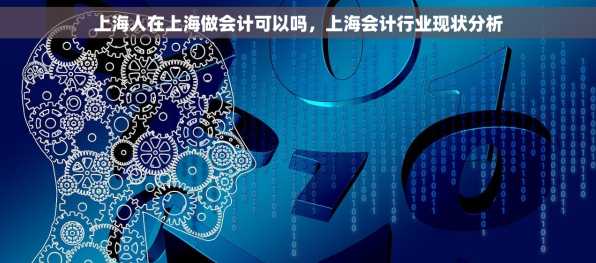 上海人在上海做会计可以吗，上海会计行业现状分析