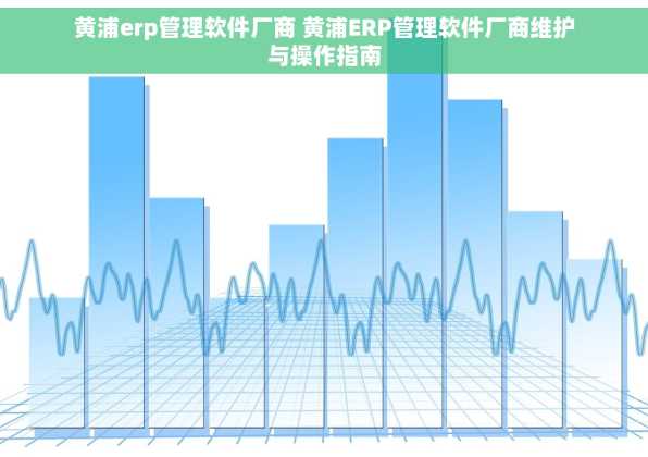 黄浦erp管理软件厂商 黄浦ERP管理软件厂商维护与操作指南