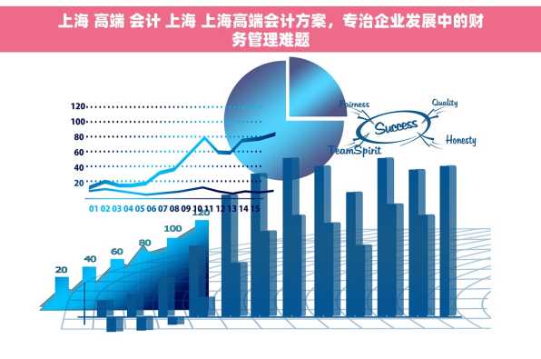 上海 高端 会计 上海 上海高端会计方案，专治企业发展中的财务管理难题