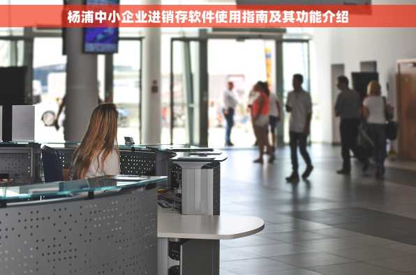 杨浦中小企业进销存软件使用指南及其功能介绍